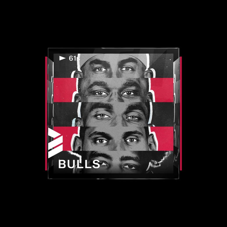 Chicago Bulls