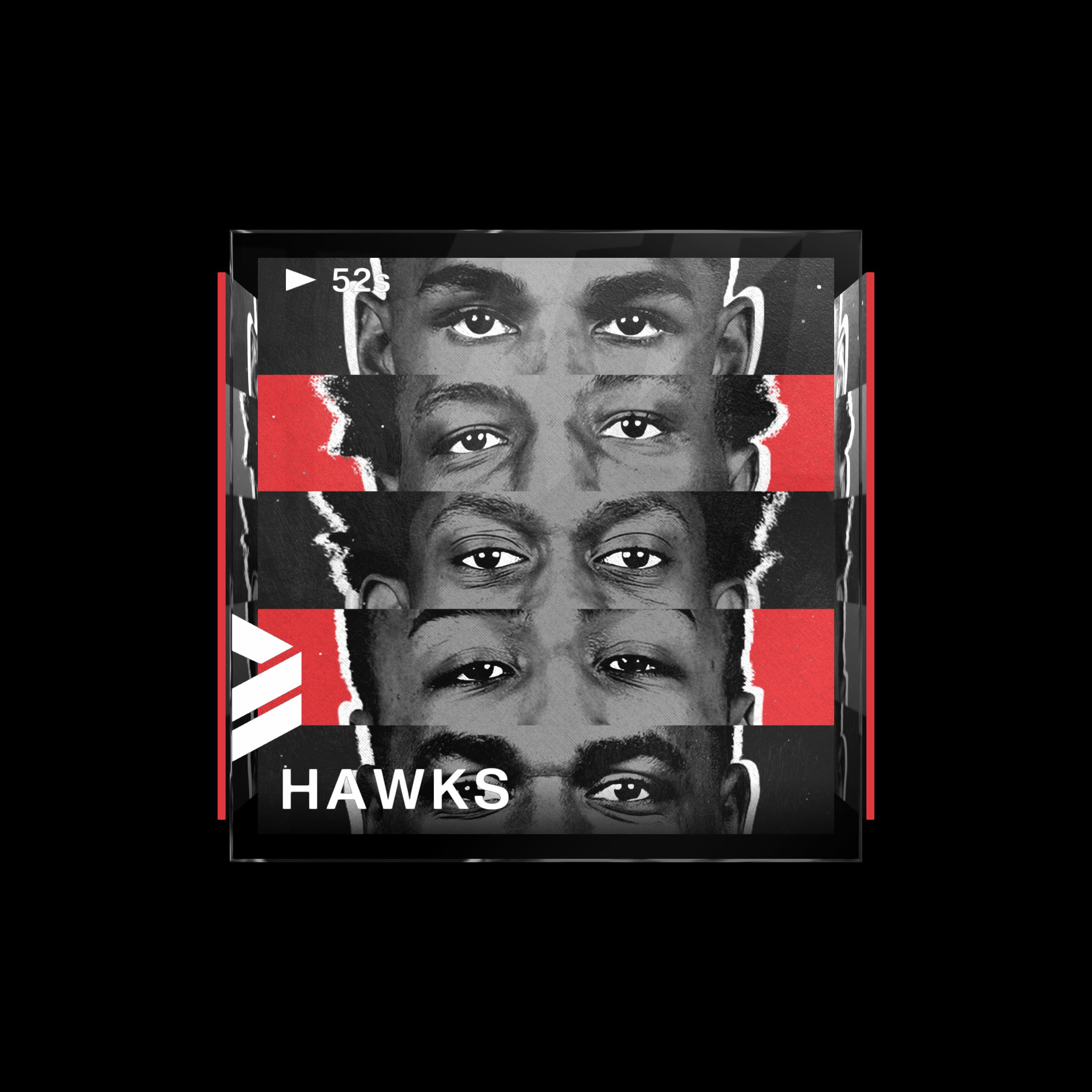 Atlanta Hawks
