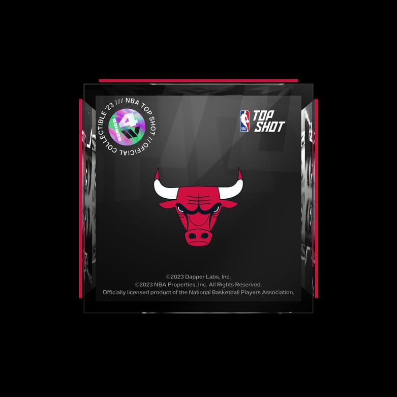 Chicago Bulls