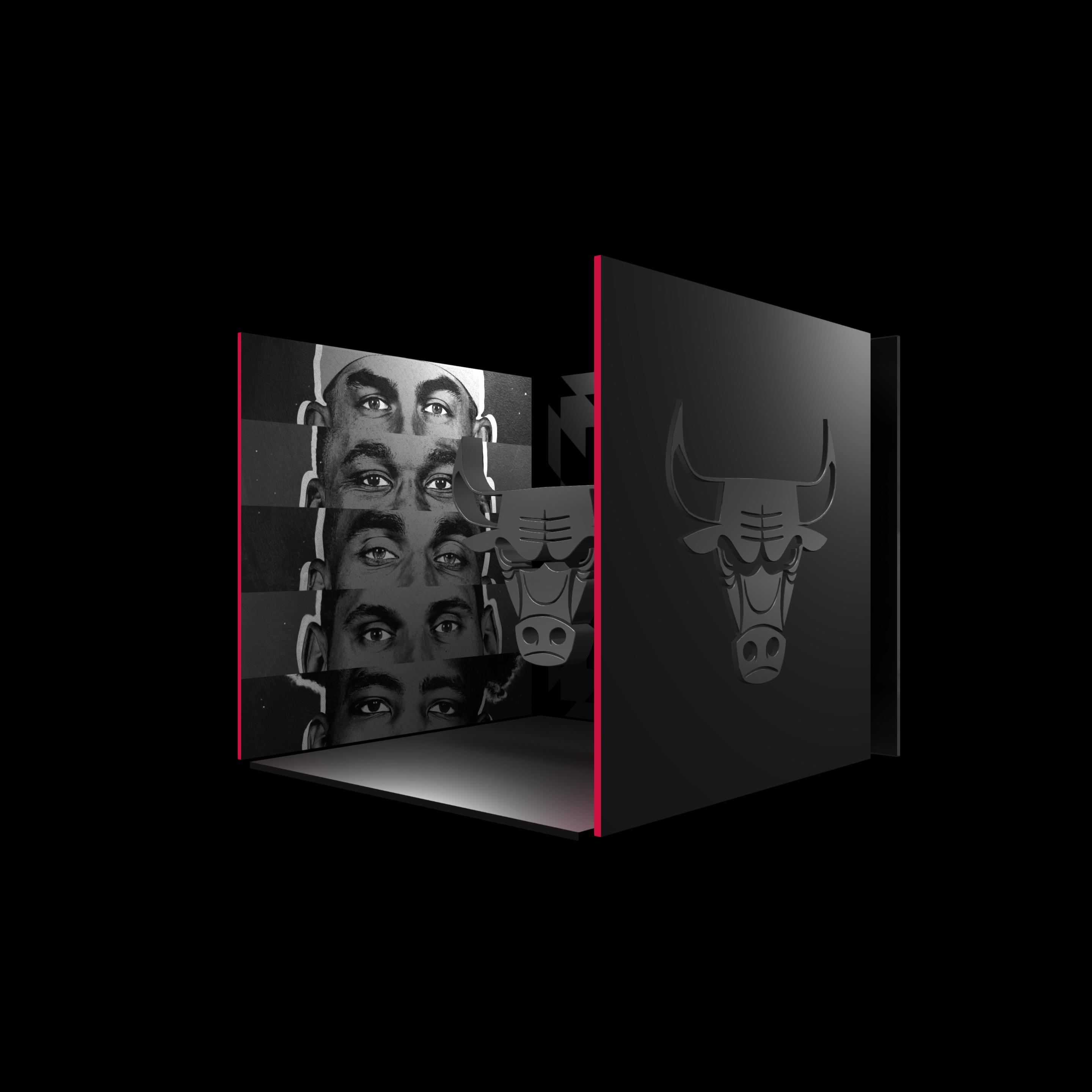 Chicago Bulls