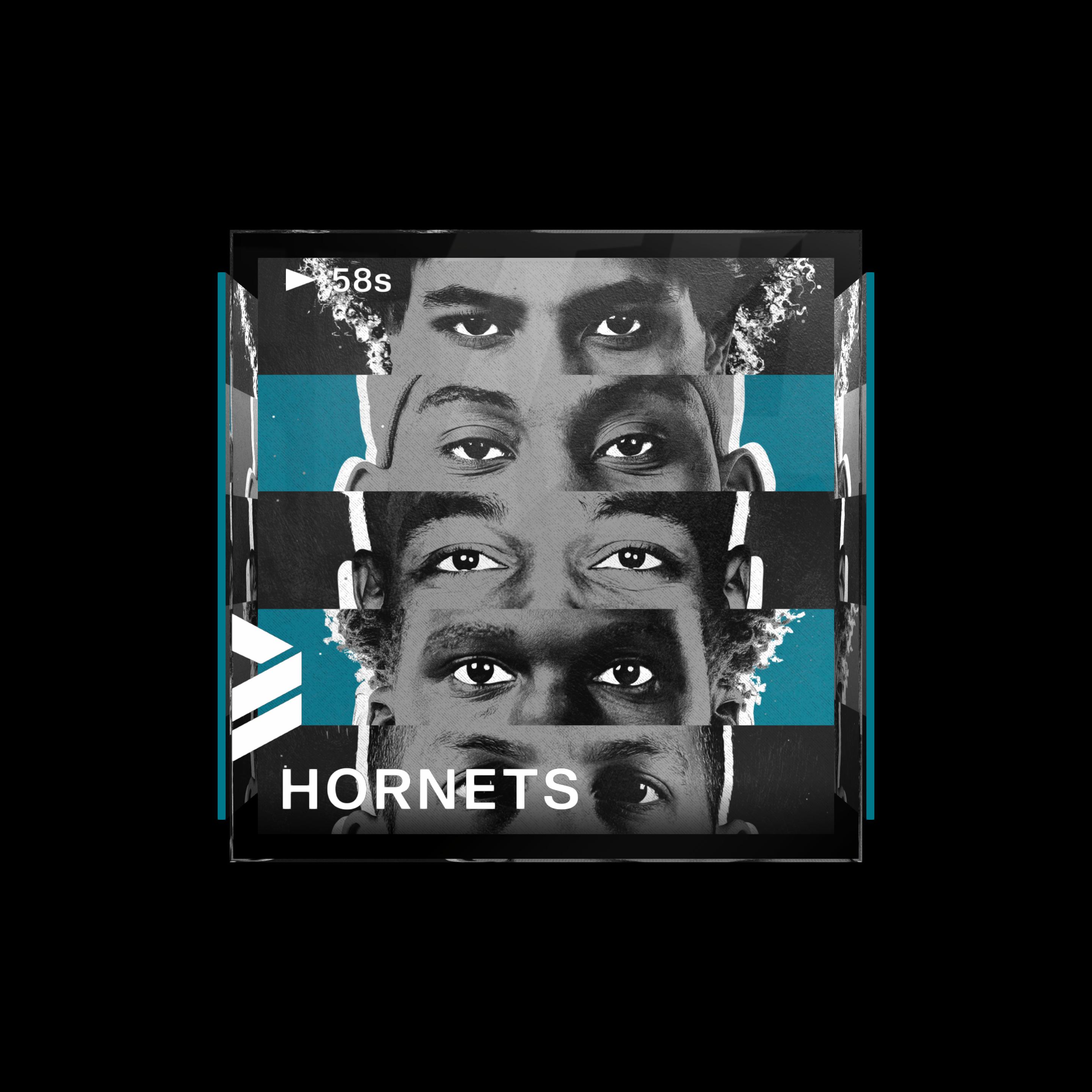 Charlotte Hornets