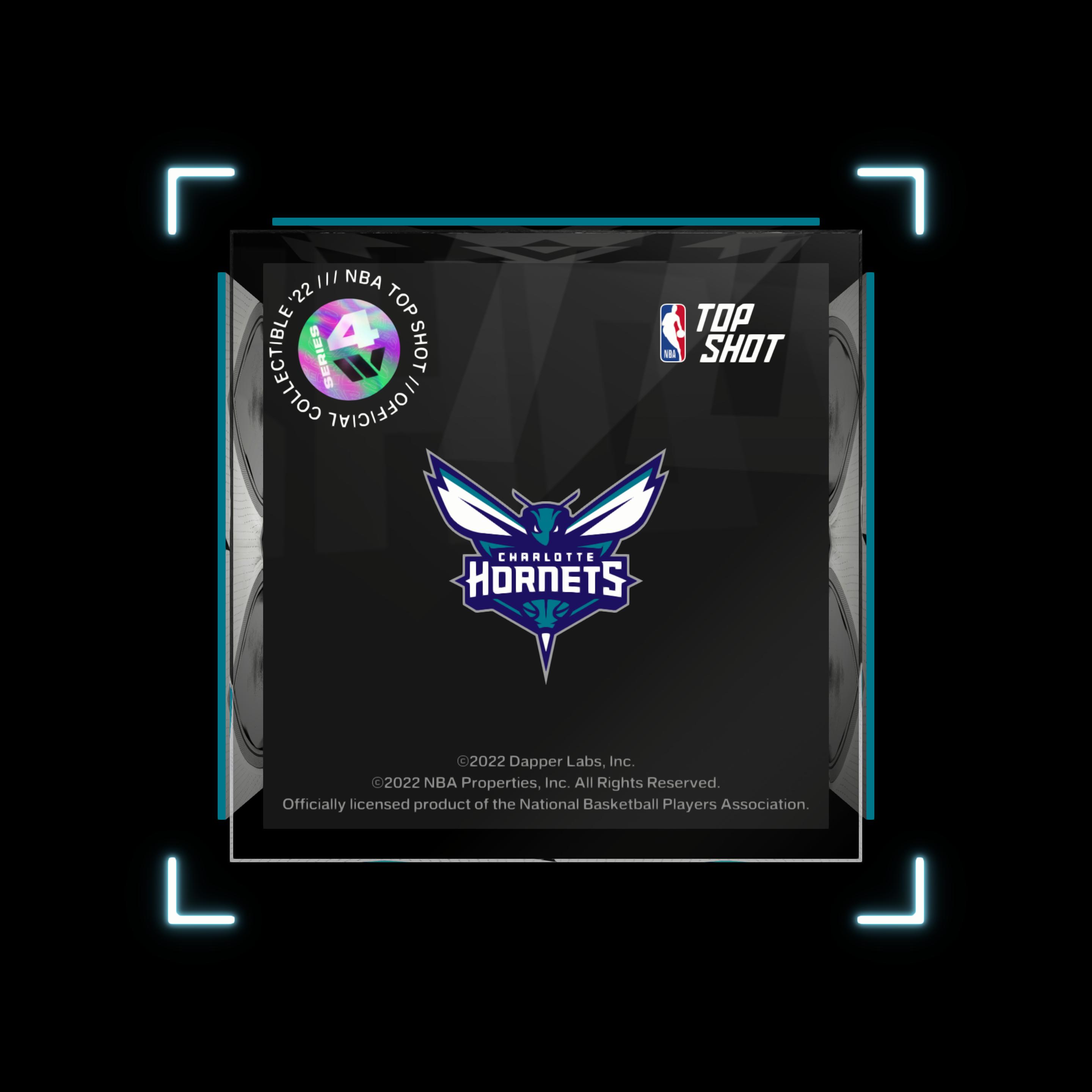 Charlotte Hornets