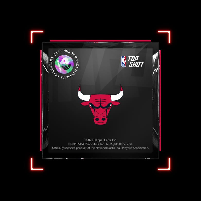 Chicago Bulls