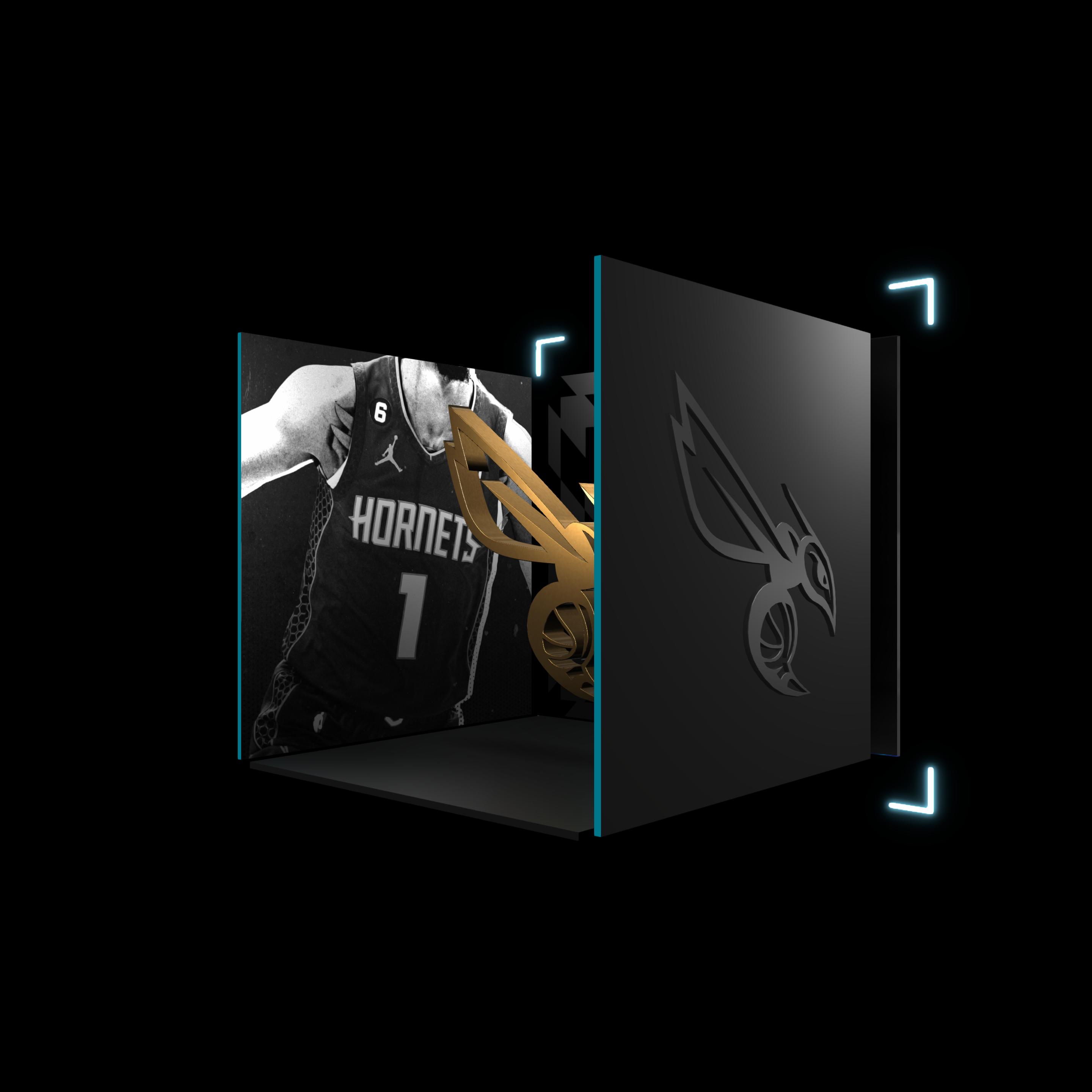 Charlotte Hornets
