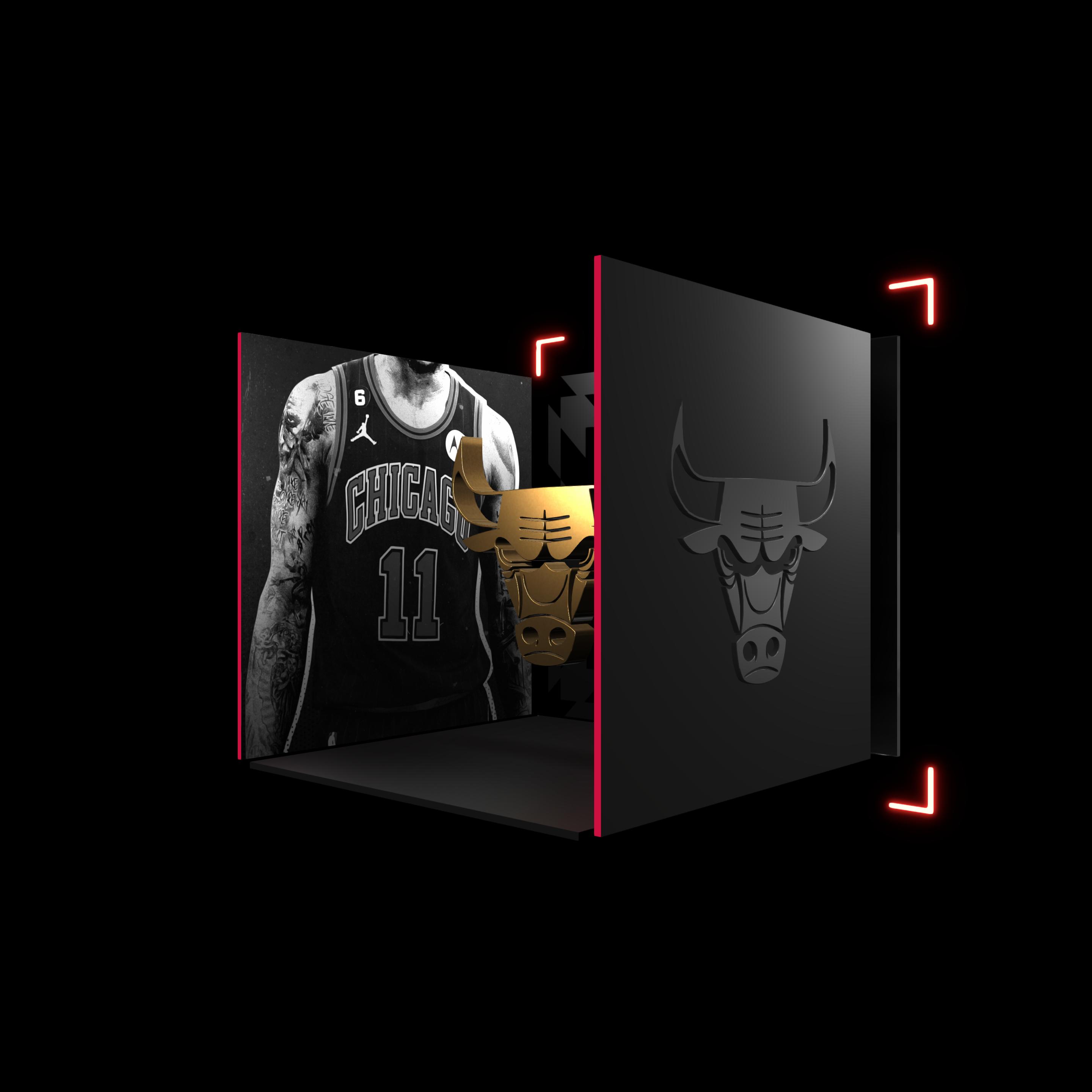 Chicago Bulls