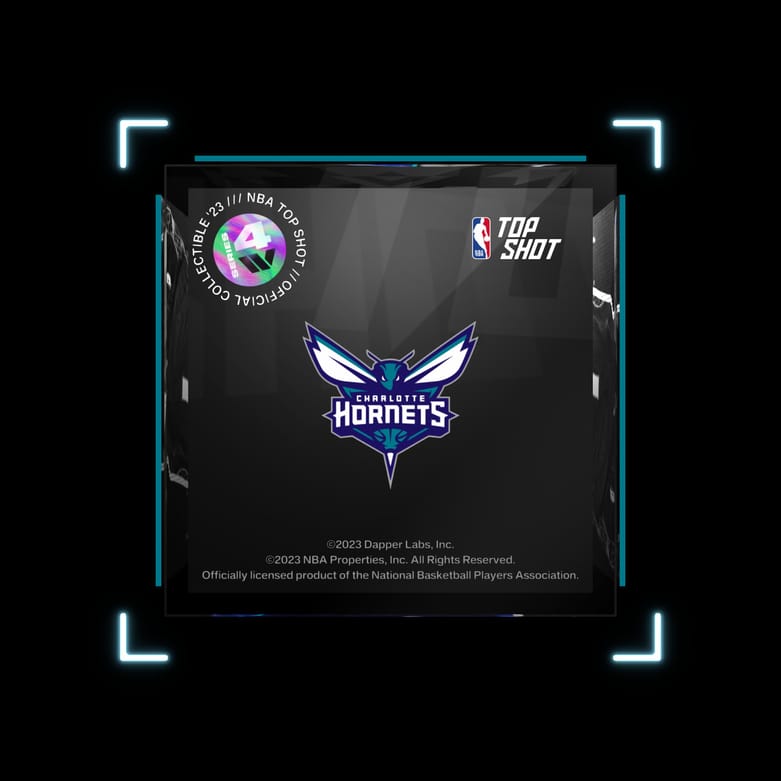 Charlotte Hornets