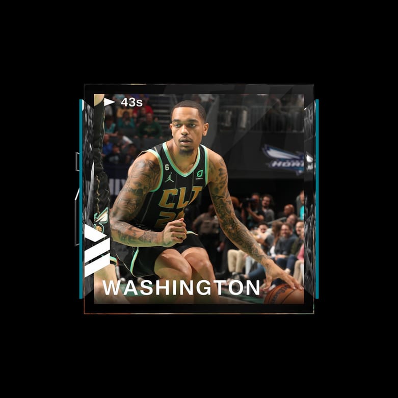 P.J. Washington