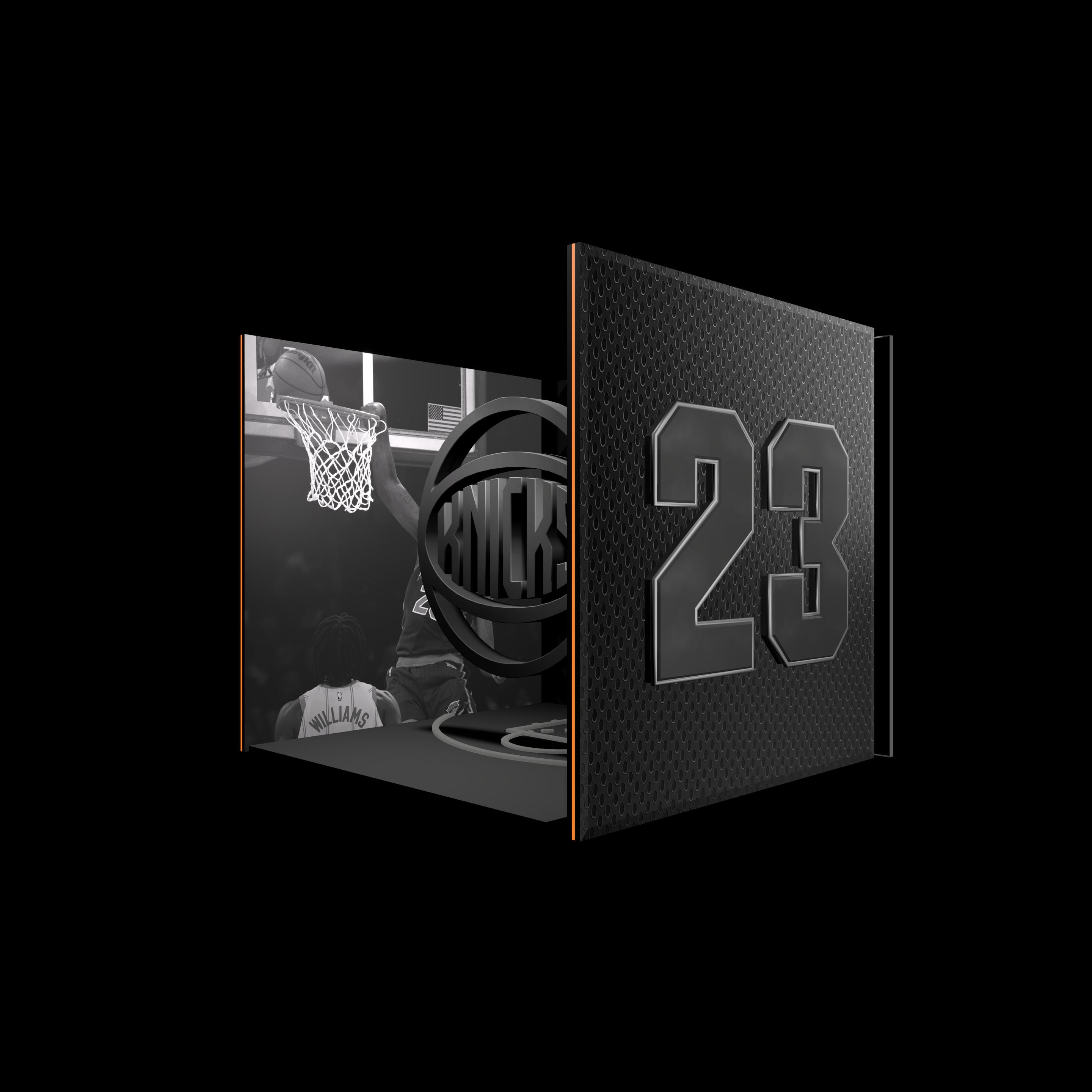 Mitchell Robinson