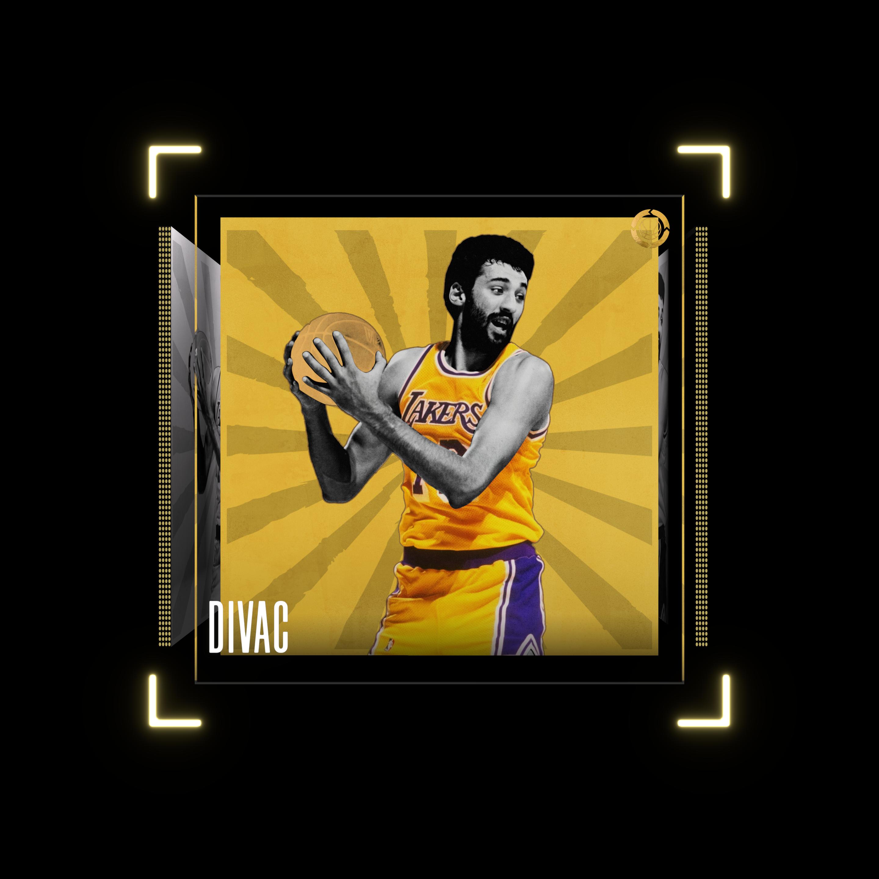 Vlade Divac