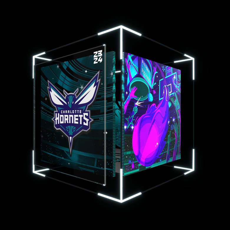 Charlotte Hornets