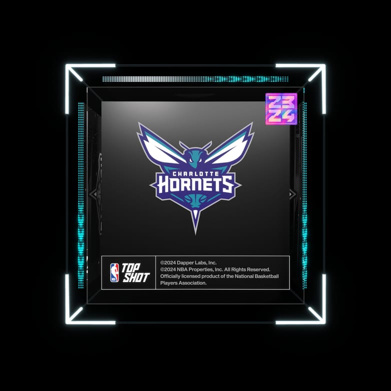 Charlotte Hornets