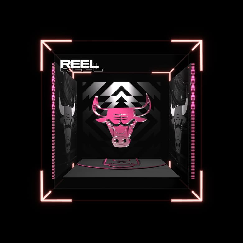 Chicago Bulls