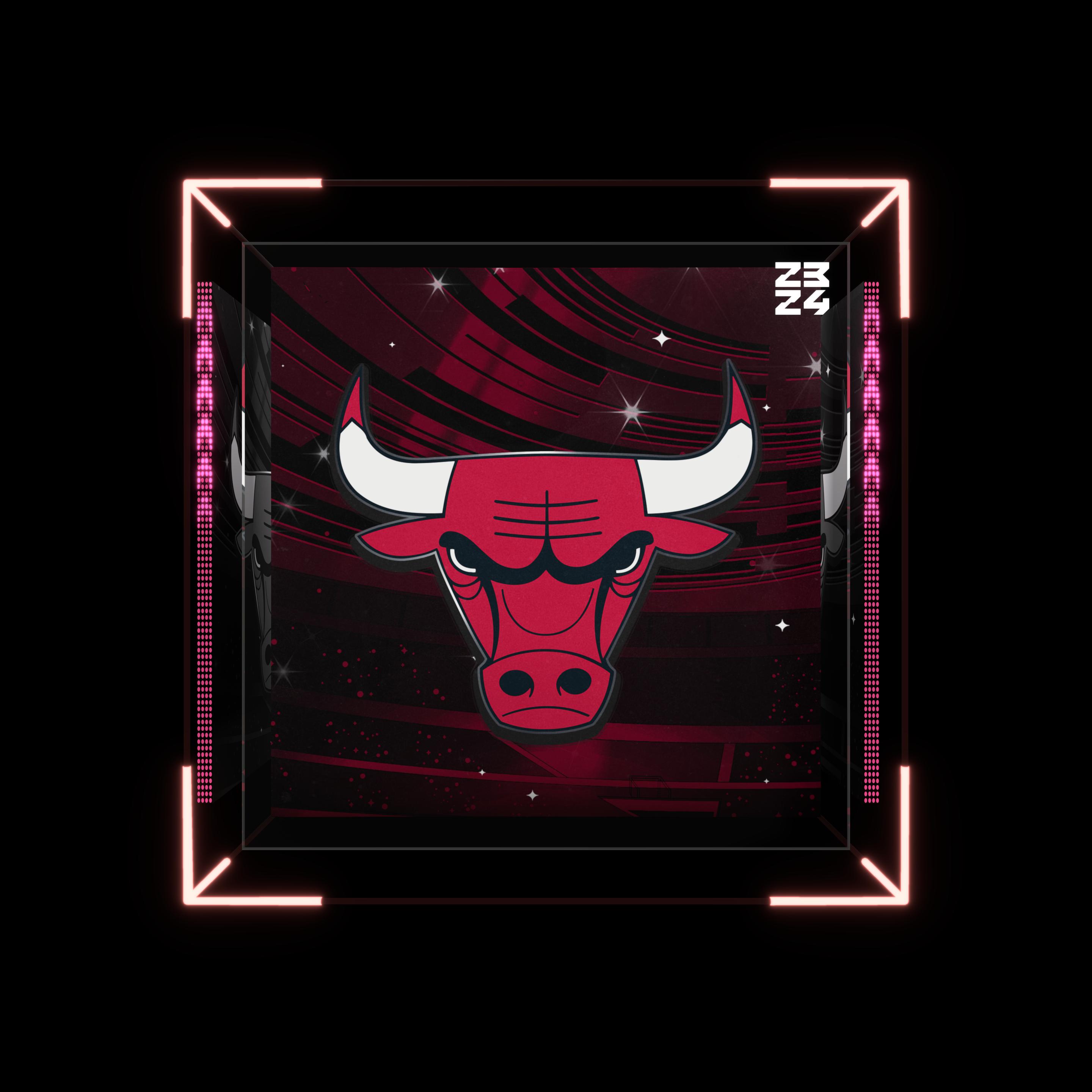 Chicago Bulls
