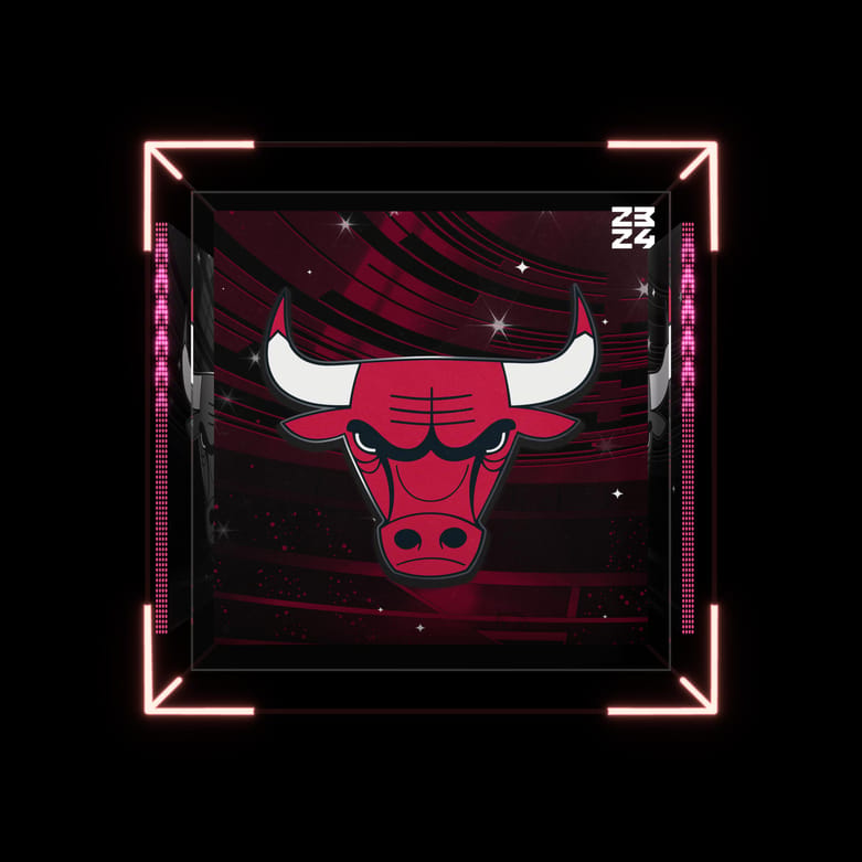 Chicago Bulls