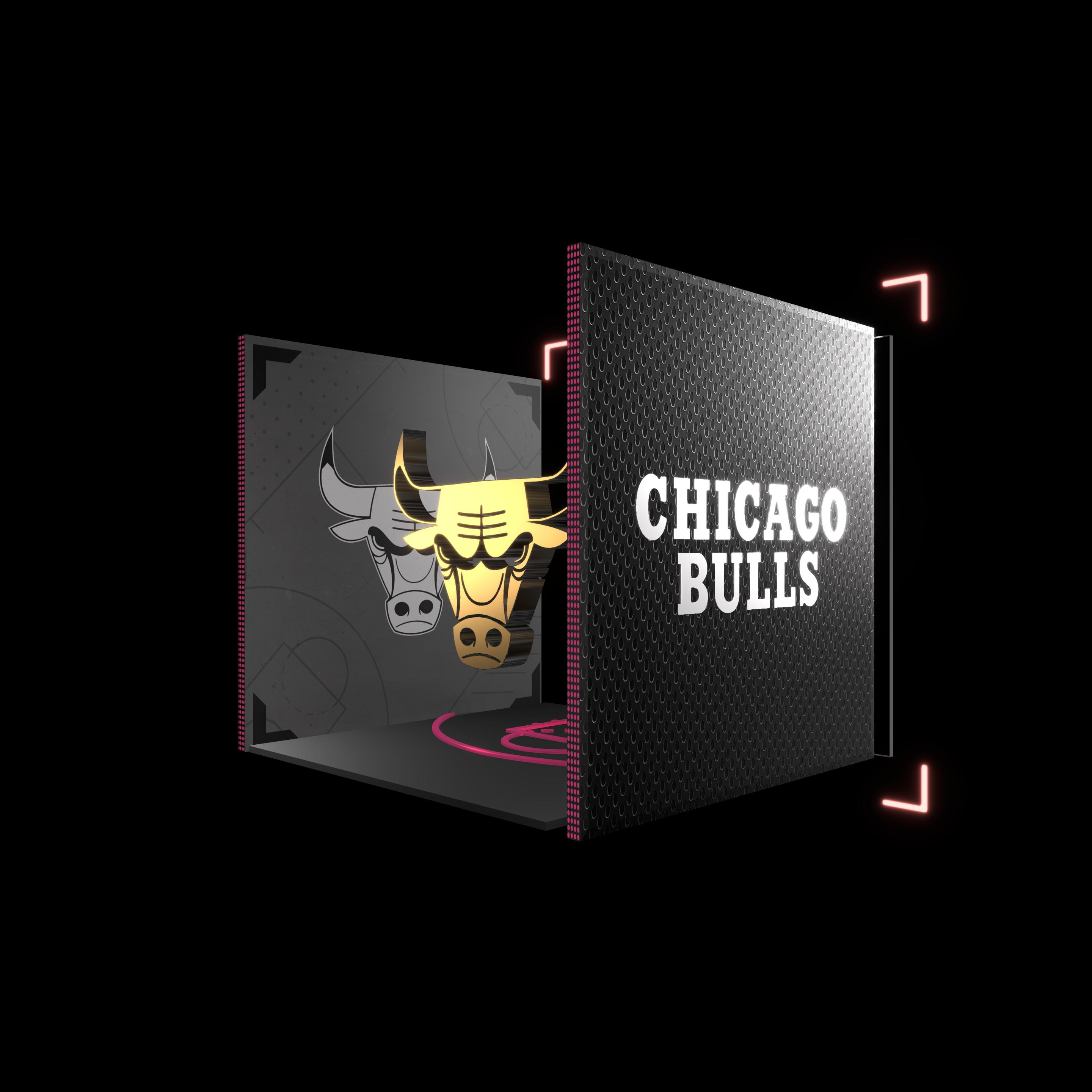 Chicago Bulls