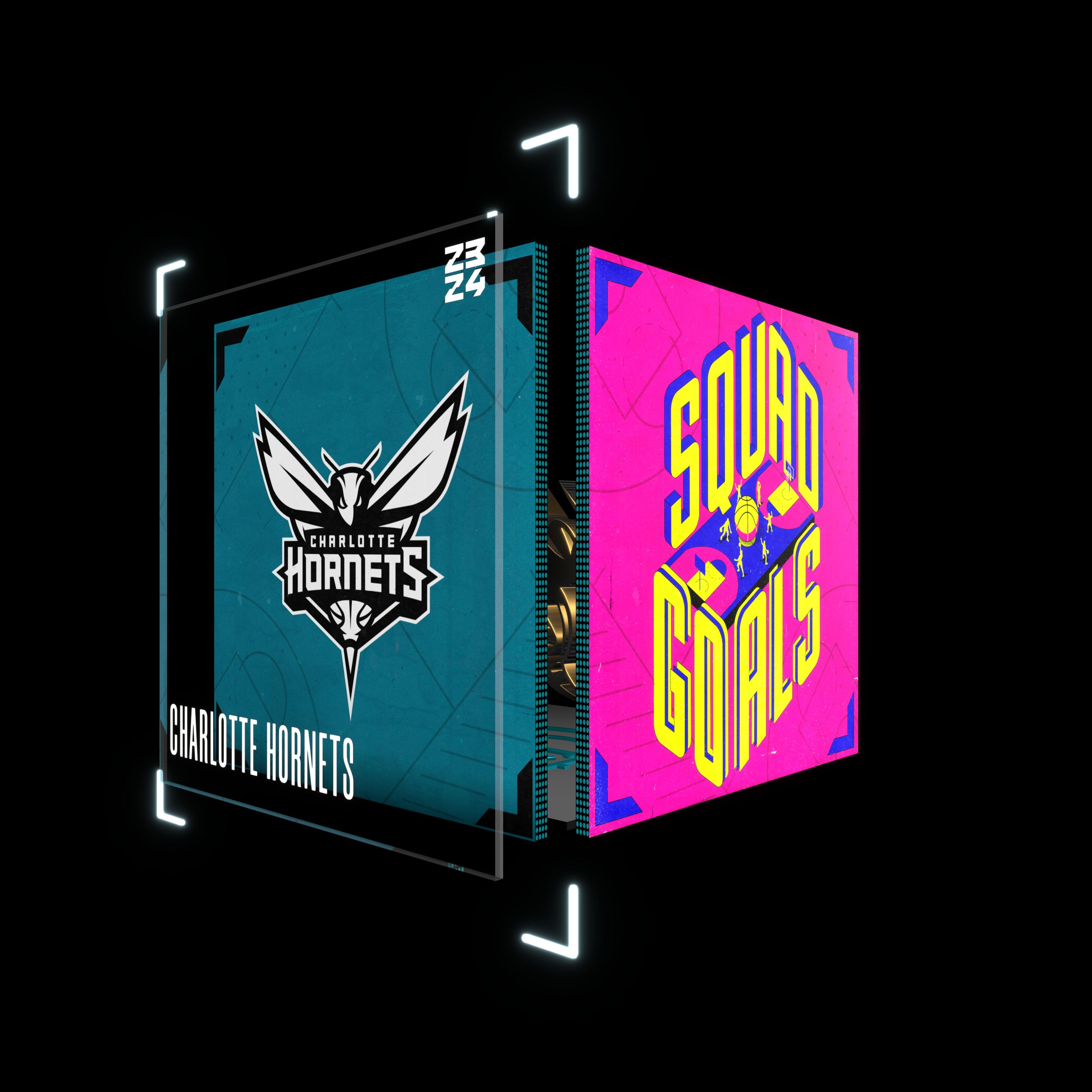 Charlotte Hornets