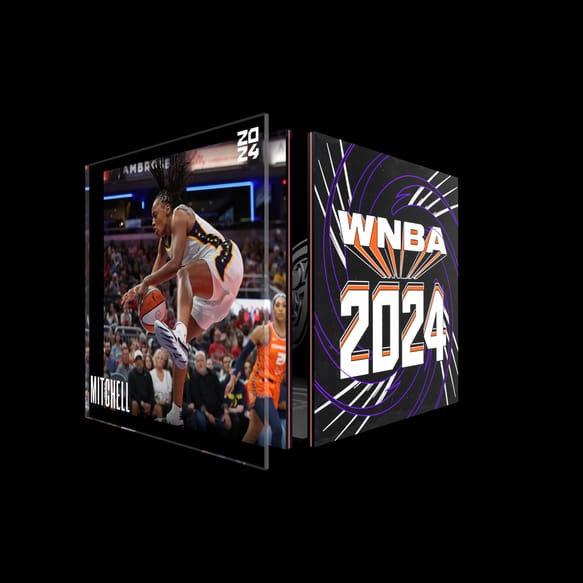 Assist - May 20 2024, WNBA 2024 (Series 2023-24), IND