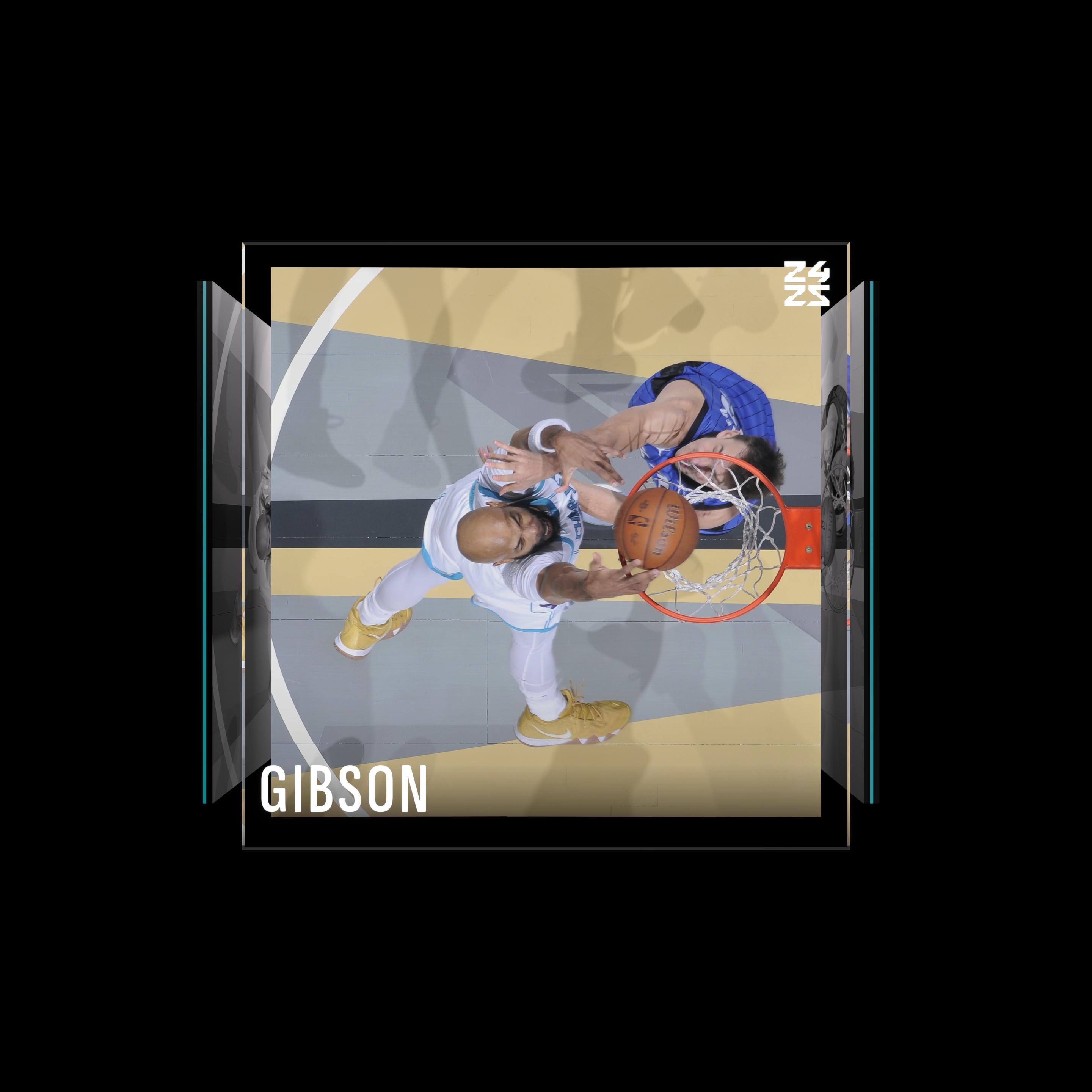 Taj Gibson