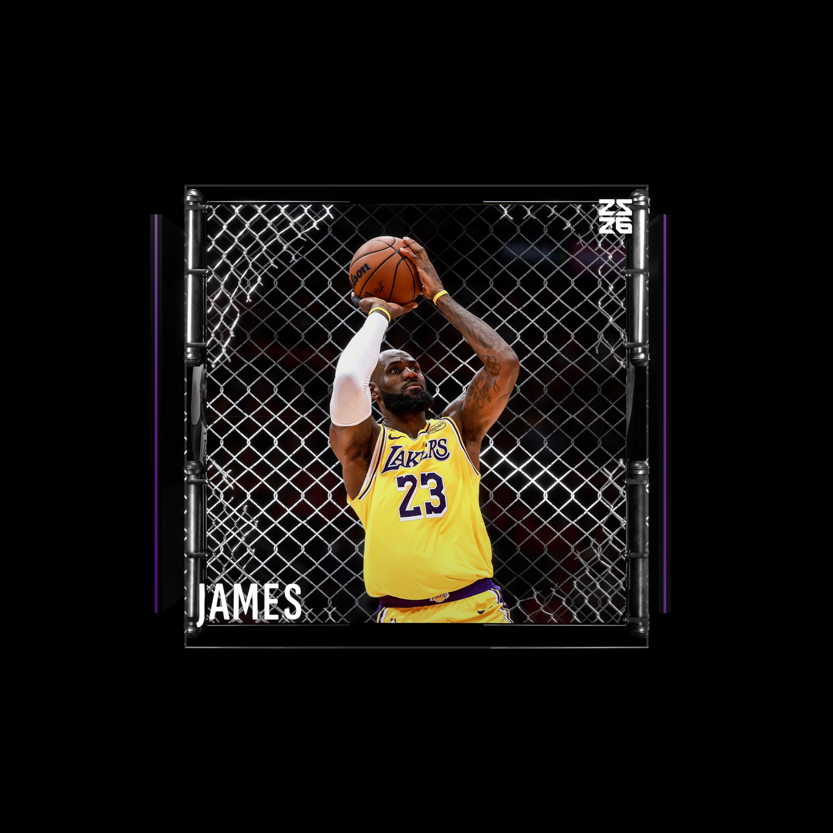 LeBron James