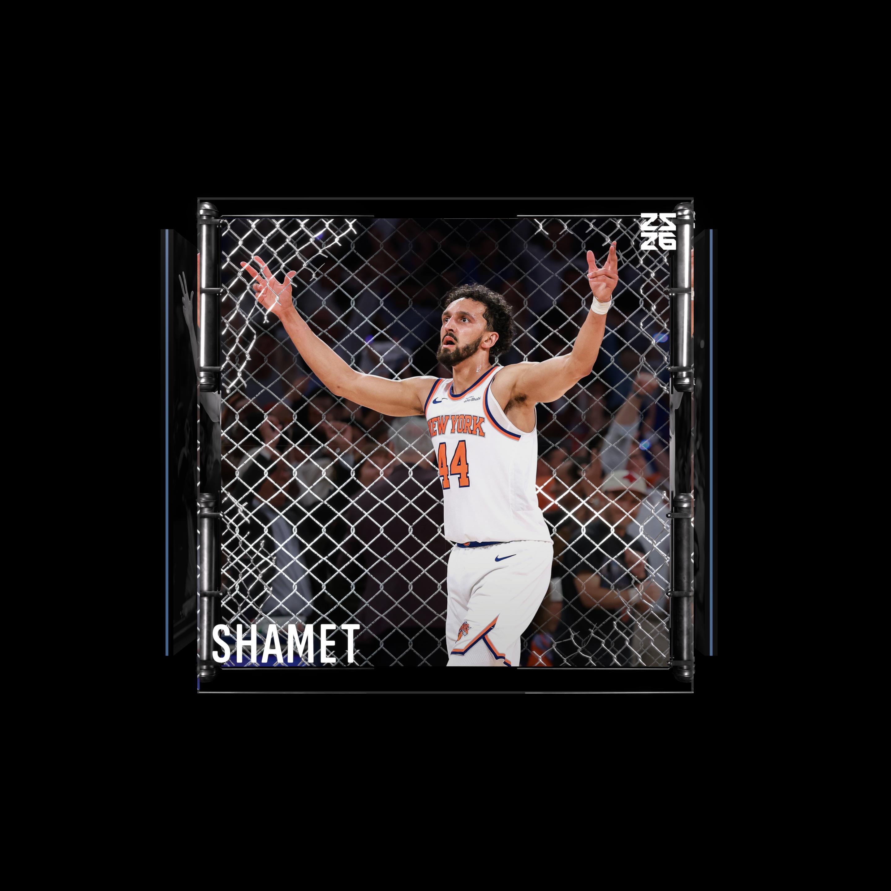 Landry Shamet