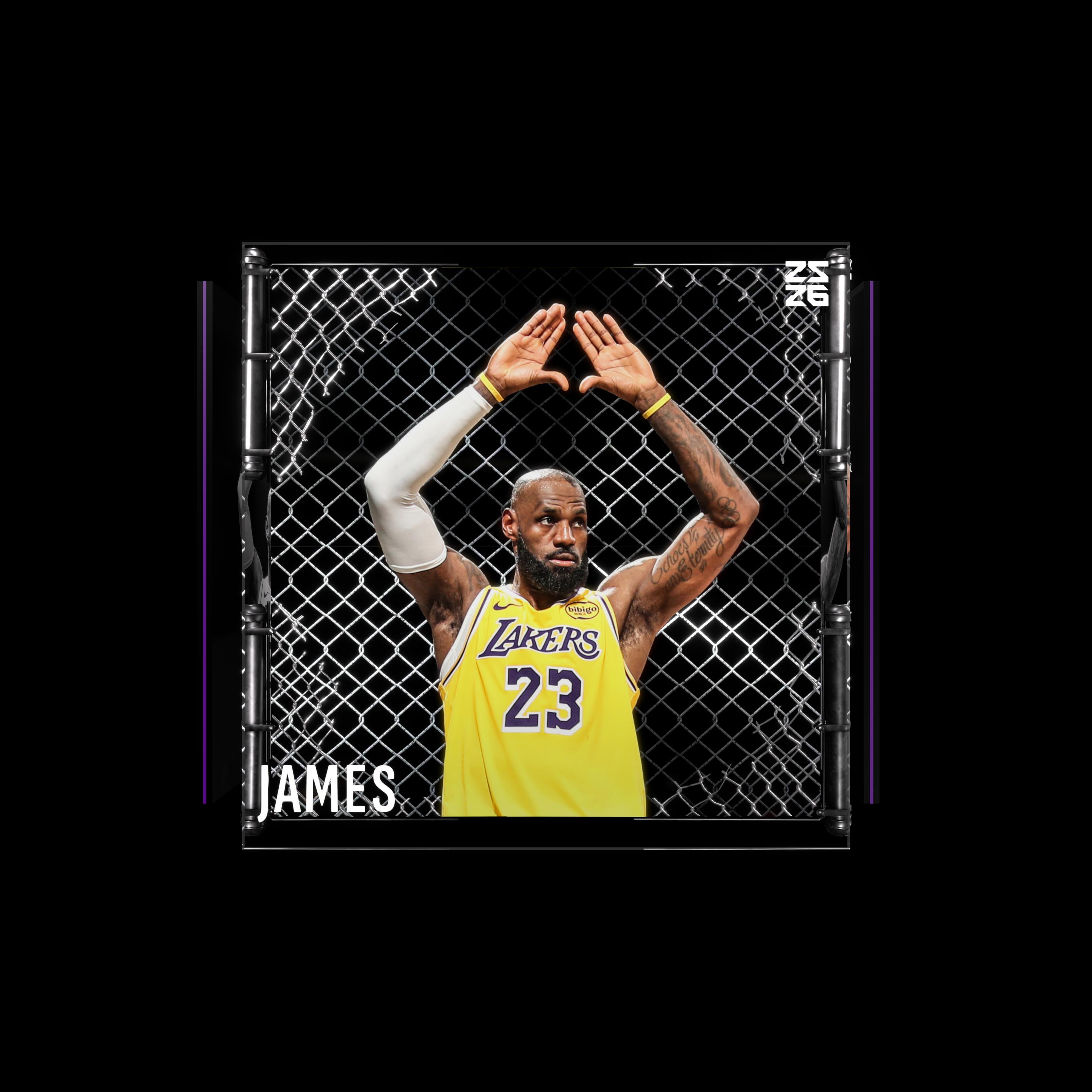 LeBron James