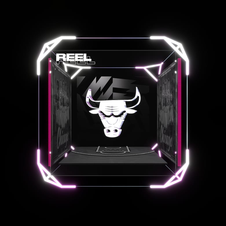 Chicago Bulls