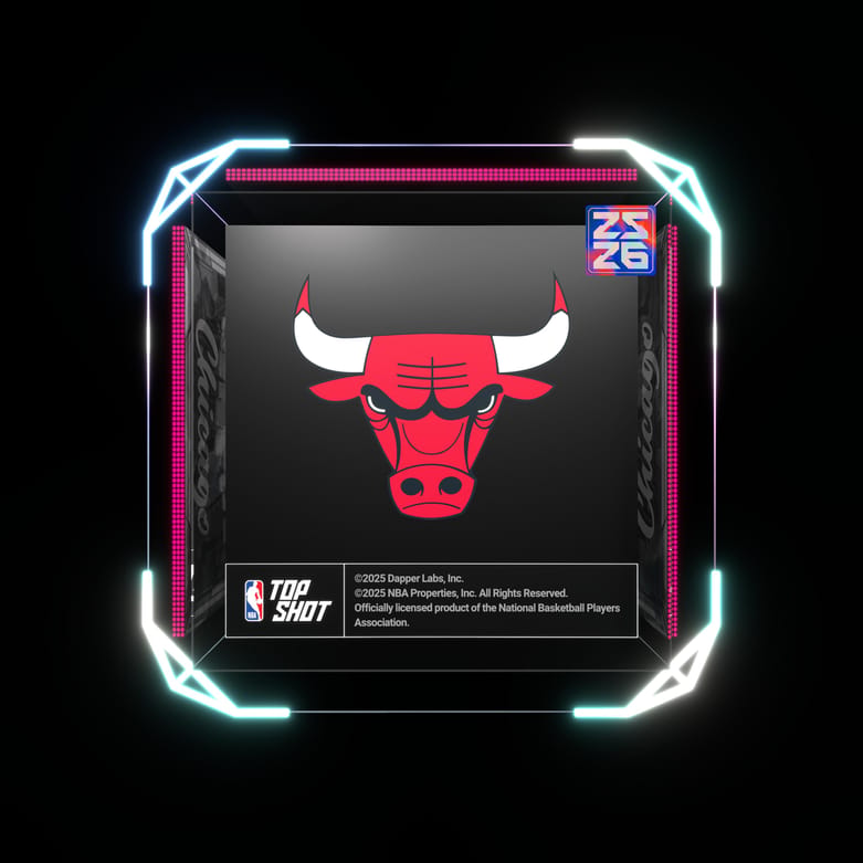 Chicago Bulls