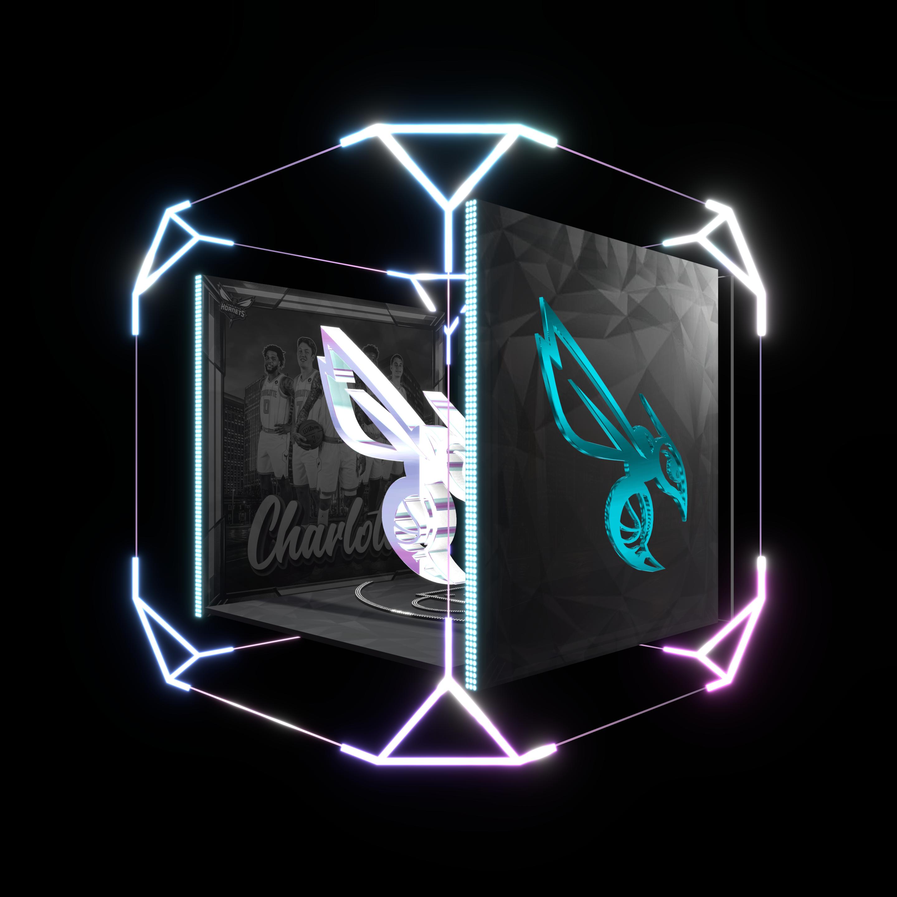 Charlotte Hornets