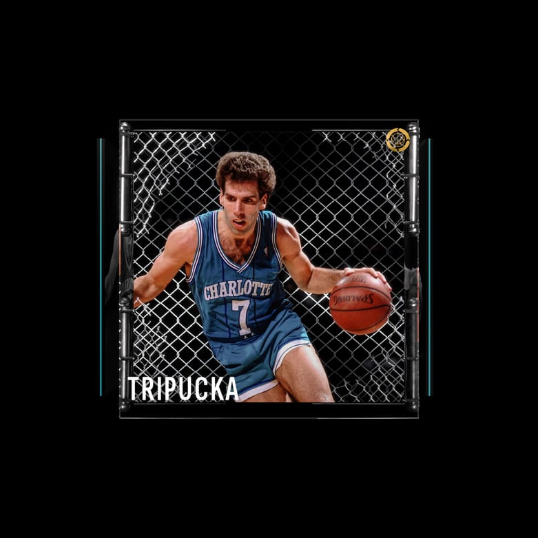 Kelly Tripucka