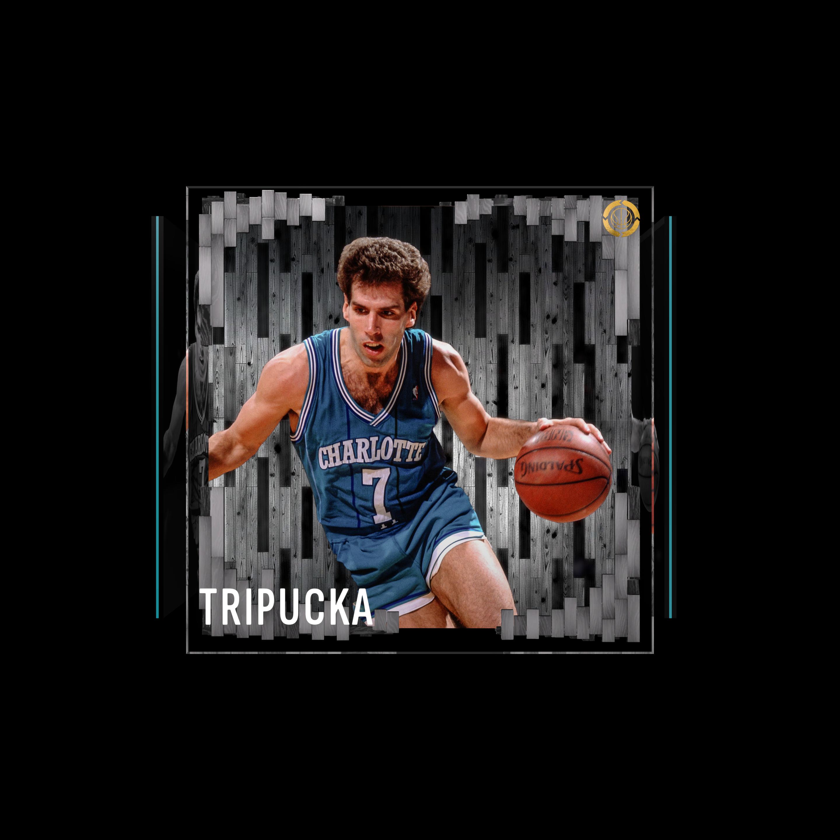 Kelly Tripucka