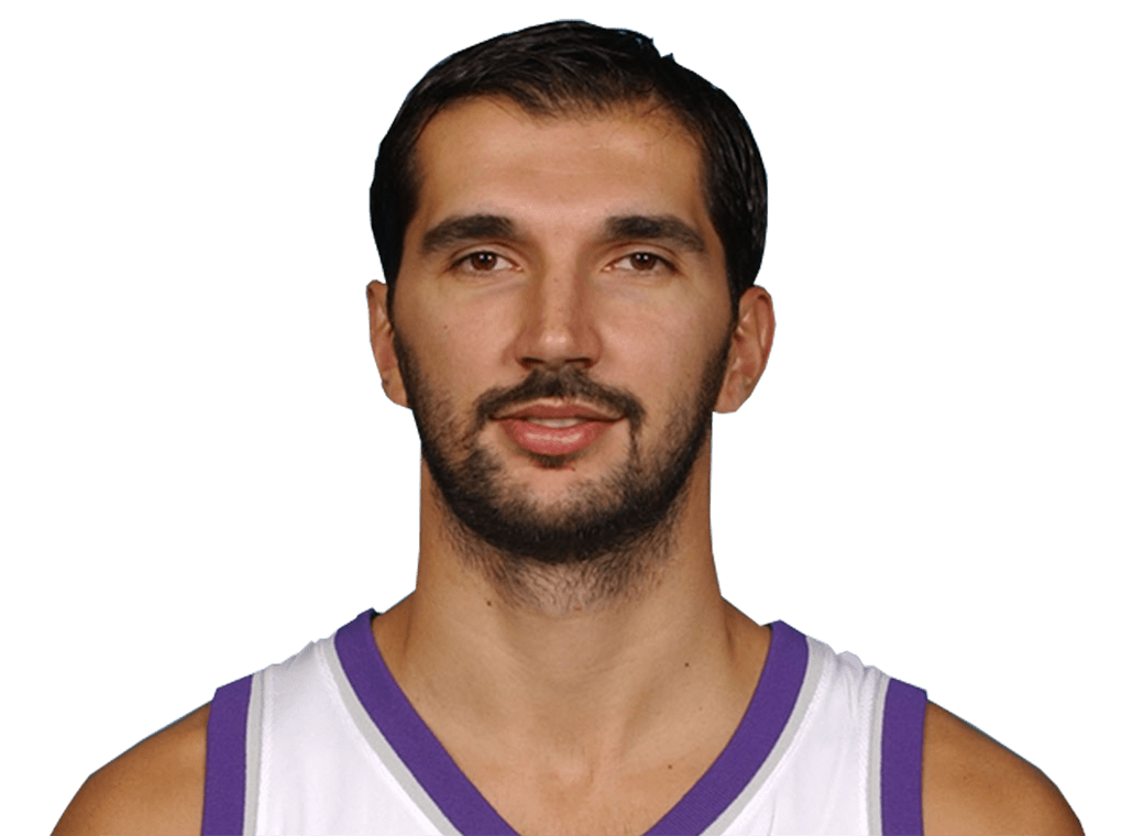Peja Stojaković headshot