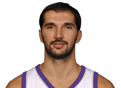 Peja Stojaković headshot